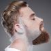 Buy Barte Template for Men - Ultimate Beard Forming Tool & Hairline Optimizer (Transparent) | Perfect Barber Line Up Instructions - Buy Online on GoSupps.com
