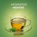 Lipton Th Vert Menthe 100 Sachets (Lot de 2x50 Sachets) Menthe 2x50 Sachets - Buy Online on GoSupps.com