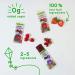 Stretch Island Strawberry Fruit Leather Snacks â€“ Vegan, Gluten-Free, No Added Sugar | 8 Count Pack - Buy Online on GoSupps.com