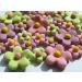 24x Blossoms Sugar Flowers - Easter Edible Fondant Cupcake Cake Toppers Spring Party - Buy Online on GoSupps.com