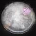 Fitnate Nebler Ultrasound Fog Maker - 24V Fogger for Ponds Aquariums Gardens & Halloween Decor - EU Plug - Buy Online on GoSupps.com