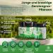 Vimion Pure Barley Grass Juice Powder - Premium Raw Vegan Superfood Rich in Iron & Vitamins (75g) - Buy Online on GoSupps.com