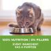 Purina ONE +Plus Dry Cat Food Indoor Advantage Turkey - 7.2 kg Bag 7.2 kg (Pack of 1) - Buy Online on GoSupps.com