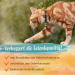 Ida Plus Green Lip Powder for Cats - 100g | Joint Support with Omega 3 Calcium & Magnesium - 100% Additive-Free Quality - Buy Online on GoSupps.com