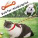 muiyrtuy Reflective Cat Leash -50FT Cable Out Escape Proof Walking Leads Yard Long Durable Safe Personalized Extender Traning Play Outdoor for Puppies/Kittens/Rabbits/Small Animals Orange 50' Orange - Buy Online on GoSupps.com
