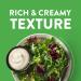 Daiya Homestyle Ranch Dressing 8.36 oz (3 Pack) - Dairy-Free, Vegan, Gluten-Free, Soy-Free, Non-GMO - Buy Online on GoSupps.com