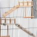 TeTupGa Hamster Bird Perches Cage Toys - Wooden Platform with Climbing Ladder and Swing - Ideal for Green Cheeks, Lovebirds, Chinchillas, and Budgies - Buy Online on GoSupps.com