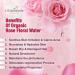 Organic Rose Water 100% Pure Natural Alcohol Free Hydrosol Face & Skin Toner with Storage Gift Box - Buy Online on GoSupps.com