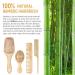 BFWood Bamboo Hair Brush and Combs Set - Eco-Friendly Wooden Brushes for All Hair Types - Buy Online on GoSupps.com
