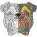 Adult Coloring Books Set - 120 Unique Designs for Grownups - Animals, Scenery, Mandalas. Perfect for Adults Relaxation - Buy Online on GoSupps.com