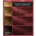 L'Or al Paris Colorista Permanent Cherry Red Hair Dye - Vibrant At-Home Color with High Shine - Buy Online on GoSupps.com