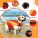 Adjustable Dog Rescue Vest - Safety Jacket for Swimming & Training - Red Color (Size M) | Lifesaver Summer Swimwear - Buy Online on GoSupps.com