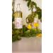 Buy MOLFAR S Carpatian Handmade ECO 100% Pure Massage Oil - Antioxidant Blend of Rapeseed Coconut Walnut Hazelnut & Berries | Ukrainian Artisans - Buy Online on GoSupps.com