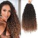 Goddess Locs Crochet Hair 14 Inch 8 Packs Faux Locs Crochet Hair for Black Women Boho Goddess Locs Crochet Hair Pre-looped River Fauxs Locs Crochet Hair T30 14 Inch T30