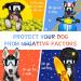 Dog Fashion: Doggles Goggles with UV Protection for Large/Medium Dogs - Buy Online on GoSupps.com