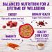 Wellness Complete Health Grain-Free Wet Cat Food - Beef & Chicken, 5.5oz Can, Pack of 12 - Natural Ingredients, Made in USA - Buy Online on GoSupps.com