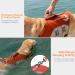 ThinkPet Dog Life Jacket - Adjustable Reflective Lifesaver with Buoyancy - Orange L for Safe Water Fun - Buy Online on GoSupps.com