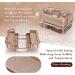 Frenessa Acrylic Makeup Organizer with 4 Trays - Portable Cosmetic Storage Case for Makeup Artists and Stylists - Rose Gold - Buy Online on GoSupps.com