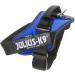 Buy IDC Powerharness 3XL/4 - Blue | Best International Shipping Available - Buy Online on GoSupps.com