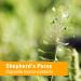 Herb Pharm Organic Shepherd's Purse Extract 1 Oz - Pure & Certified Liquid Supplement - Buy Online on GoSupps.com