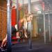 Pacearth Gymnastic Rings 1100lbs Capacity | Adjustable Buckle Straps | Non-Slip Rings for Home Gym Workout - Buy Online on GoSupps.com