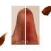 Wella Professional Color Fresh Mask Temporary Color Refresh Treatment Semi-Permanent Hair Dye Hair Gloss Treatment for Copper Hair Copper Glow Hair Dye & Invigo Color Brilliance Colour Protection Shampoo 1l - Buy Online on GoSupps.com