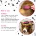 Bugalugs 2 in 1 Dog brush & Cat brush for dogs puppy cat & kitten brush double sided long & short haired pet brush removes loose hair Cat & Dog brushes for grooming stimulates the skin - Buy Online on GoSupps.com