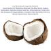 No Pong Fragrance Free Vegan Deodorant - All-Natural Paraben-Free Aluminum-Free Plastic-Free Anti-Odourant for Men & Women - Shop Internationally - Buy Online on GoSupps.com
