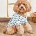 Yanmucy Hawaiian Shirt for Small Dogs - Cool & Breathable Summer Pet Clothing - 2 Piece Palm Leaf Pattern - Buy Online on GoSupps.com