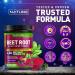 Organic Beet Root Nitric Oxide Powder - Vegan Superfood for Energy Blood Flow & Heart Health - 30 Servings - Berry Flavor - Non-GMO - Buy Online on GoSupps.com