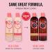 HASK Rose Oil + Peach Shampoo and Conditioner Set - Color Protecting, Gluten-free, Sulfate-free, Paraben-free, Cruelty-free - Buy Online on GoSupps.com