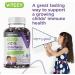 Sugar Free Sambucus Black Elderberry Gummies for Kids - Immune Booster with Vitamin C & Zinc - Vegan & Gluten Free - Berry Flavored Chewables - Buy Online on GoSupps.com