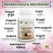 Organic Pure Guggul Capsule - Natural Ayurvedic Supplement - Buy Online on GoSupps.com