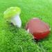 XIANNVXI 20 Pcs Red Agate Carnelian Crystal Heart Stones for Meditation & Energy Balancing - Buy Online on GoSupps.com