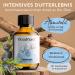 Woodfjord Sauna Infusion 100 ml | Organic Turpentine Oil | Premium Sauna Experience | Invigorating & Vitalizing Aroma - Buy Online on GoSupps.com