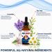 Organic Natural Ear Drops for Ear Infection Treatment - Safe for Adult, Kids, Baby, Dog & Pets - Relieves Ear Aches, Itchy Ears, Infections, Swimmer's Ear - Made in USA - Buy Online on GoSupps.com