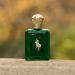 Ralph Lauren - Polo Eau de Toilette Men's Cologne Woody & Spicy With Pine Patchouli Leather and Tobacco Medium Intensity Fl Oz Woody Spicy 4.2 Fl Oz (Pack of 1) - Buy Online on GoSupps.com