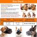 Breathable Mesh Dog Muzzle | Adjustable Black Muzzle for Comfort & Control - Buy Online on GoSupps.com