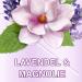 Ajax Lavender & Magnolia Flower Festival Multi Surface Cleaner 12 x 1 Litre (Pack of 12) - Buy Online on GoSupps.com