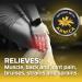 Dragon External Pain Relief Gel with Arnica - 2 Oz | Muscle, Back, & Joint Pain Relief - Buy Online on GoSupps.com