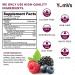 YumV's Elderberry Gummies with Vitamin C & D - 60 Berry Flavor Immunity Support - Buy Online on GoSupps.com