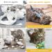 Dorakitten Interactive Cat Toys Set - 4 Cute Plush Bird Form Toys with Sounds & Springs - Perfect for Cats - International Shipping Available! - Buy Online on GoSupps.com
