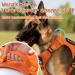 Rabbitgoo Large Dog Harness - Durable Adjustable Tactical Harness with Handles for Hiking Anti-Train Design Orange (1 Pack) - Buy Online on GoSupps.com