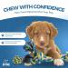 Fur & Bone 10 Pack Dog Chew Toys | Puppy Toys Dog Toys for Boredom | Indestructible Dog Toys with Rope Toys Squeaky Toy | Dog Toy Dog Teething Toys for Small & Medium Dogs | Dog - Buy Online on GoSupps.com