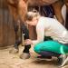 IceHOF Cooling Gaiters for Horses | 4-Piece Set with Removable Cooling Packs & Washable Bandage | Comfortable & Protective Gaiter - Buy Online on GoSupps.com