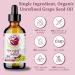 Organic Grape Seed Oil - Bella Terra 4oz | Nourish Skin with Vitamins & Procyanidins - Buy Online on GoSupps.com