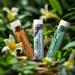 Crate 61 Lip Balm 3-Pack with USDA Organic ingredients Flavored with Premium Essential Oils and Organic Flavors for Men and Women (3 Pack Medley) Medley 1 Count (Pack of 3) - Buy Online on GoSupps.com