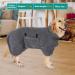 Buy Pettom Dog Bumper Bathrobe - Extra Absorbent Microfiber Fast-Drying Coat for Large Dogs (L Gray) - Ideal Dog Drying Solution - Buy Online on GoSupps.com