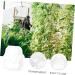 SUPVOX Shape Reusable Transparent Planting Shaping Tools Luck for Growing Forming Garden Peach Gardening - Buy Online on GoSupps.com