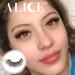 ALICE Brown Cat Eye Faux Mink False Lashes - Natural Look Wispy Eyelashes 8 Pairs - International Shipping - Buy Online on GoSupps.com